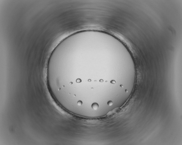 X0000111891383200908131645