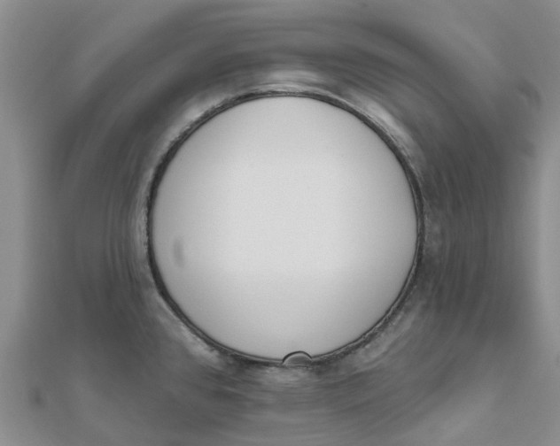 X0000111891384200908131645