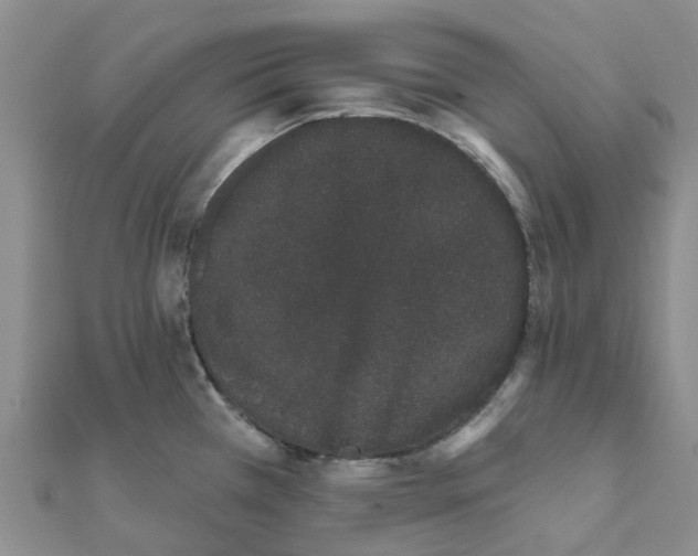 X0000111891385200908131645