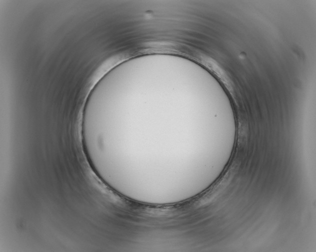 X0000111891386200908131645