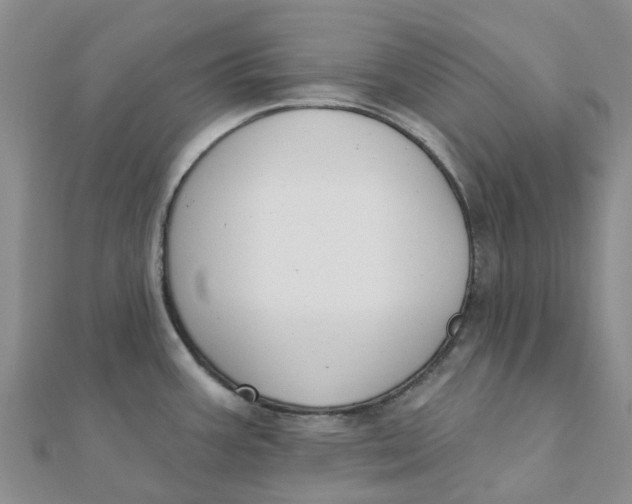 X0000111891387200908131645