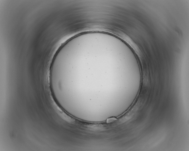 X0000111891388200908131645