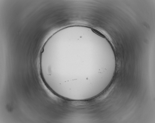 X0000111891391200908131645