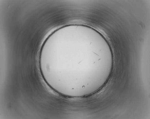 X0000111891392200908131645