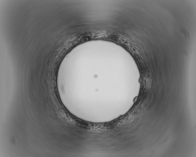 X0000111891393200908131644