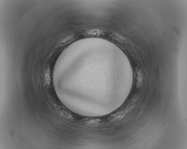 X0000111891394200908131644