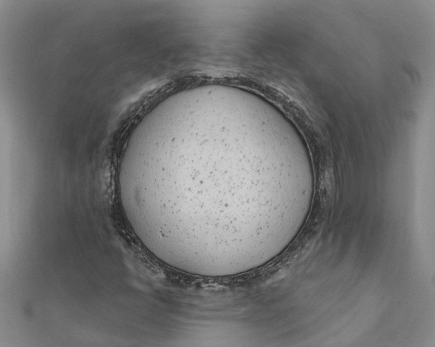 X0000111891398200908131645