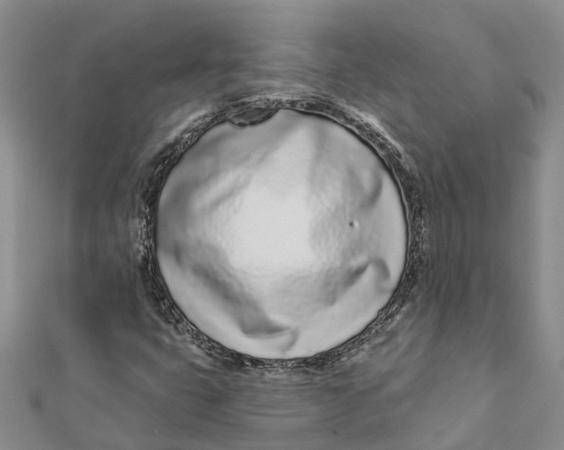 X0000111891399200908131645