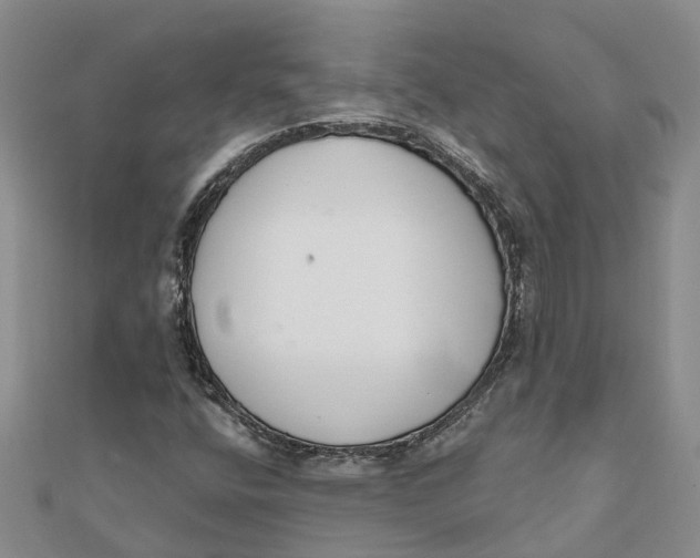 X0000111891400200908131645