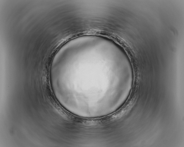 X0000111891401200908131645