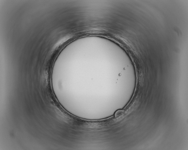 X0000111891402200908131645