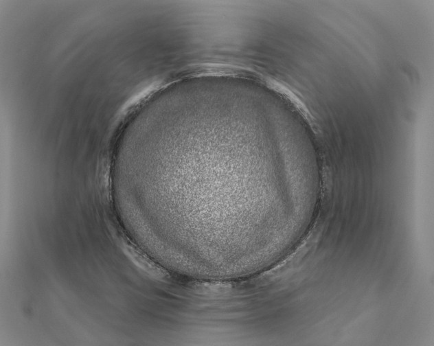 X0000111891403200908131645