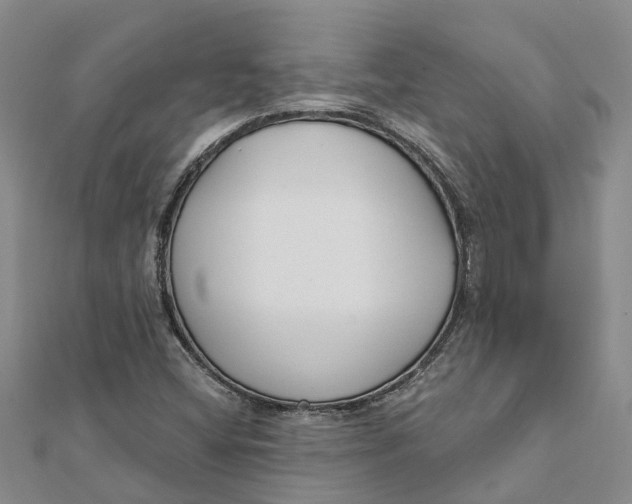 X0000111891404200908131645