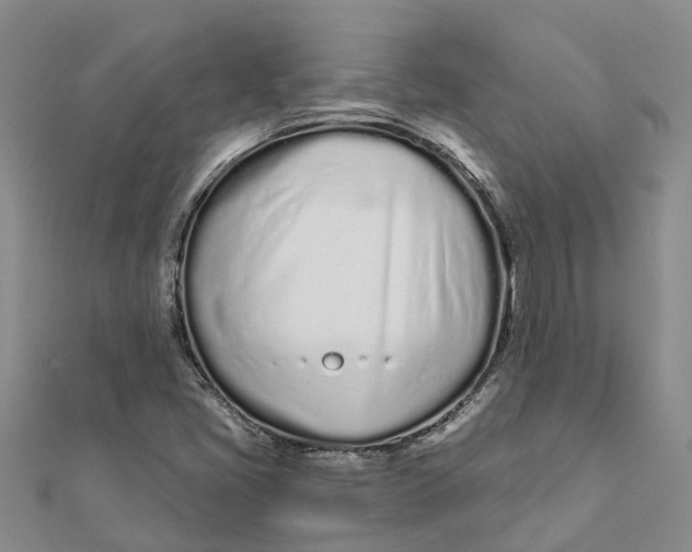 X0000111891405200908131645