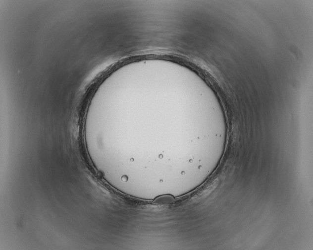 X0000111891406200908131645