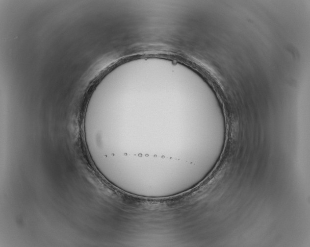 X0000111891407200908131645