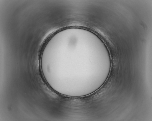 X0000111891408200908131645