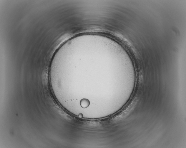 X0000111891409200908131645