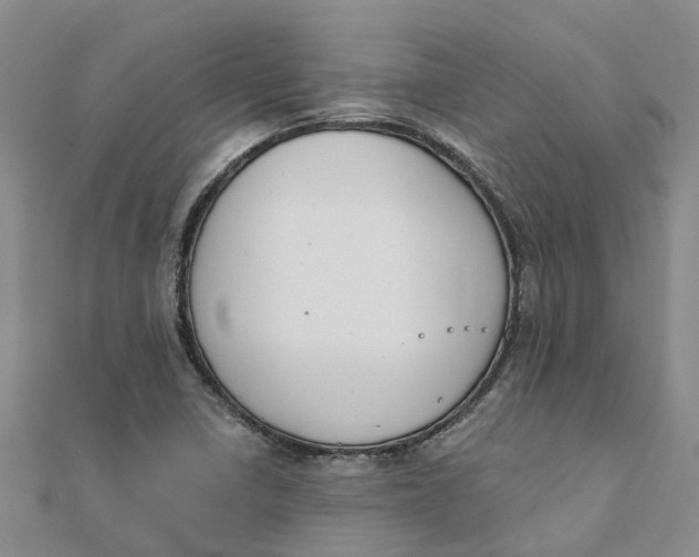 X0000111891410200908131645