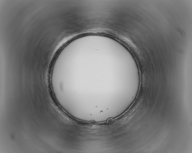 X0000111891412200908131645