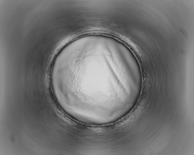 X0000111891413200908131645