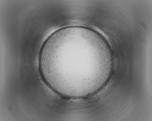 X0000111891415200908131645