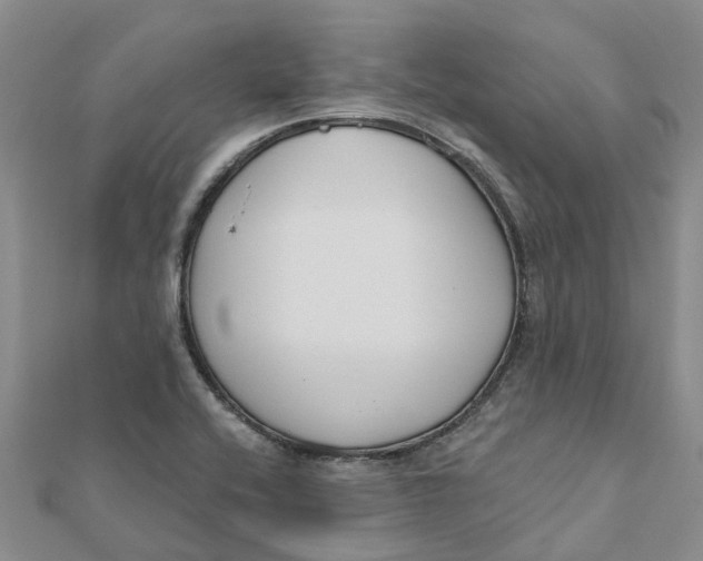 X0000111891416200908131645