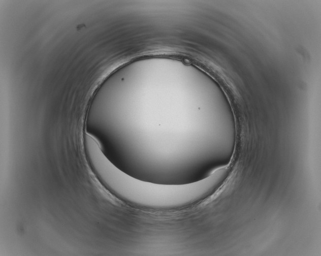 X0000111891417200908131645