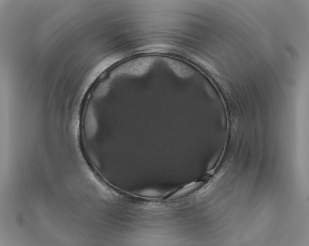 X0000111891418200908131645