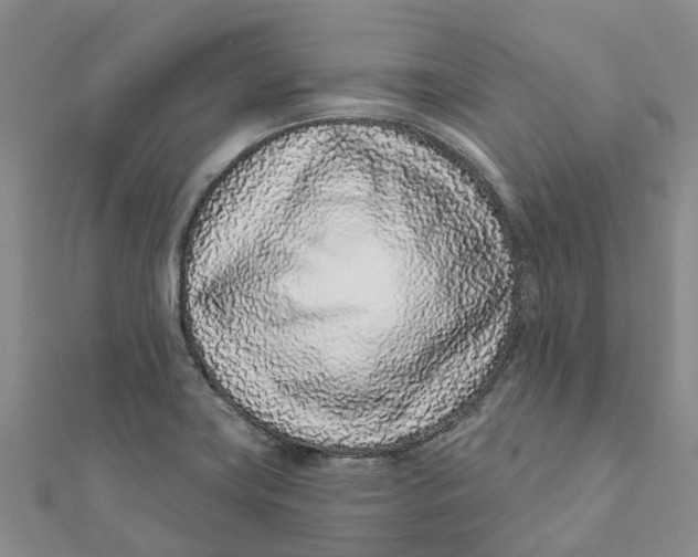 X0000111891419200908131645