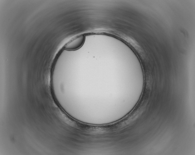 X0000111891420200908131645