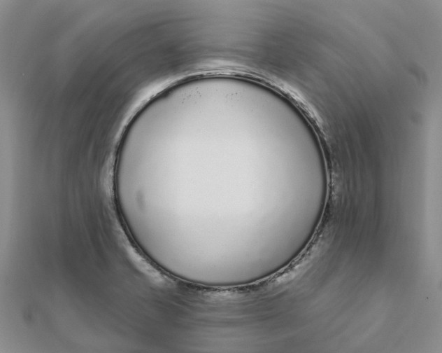 X0000111891421200908131645