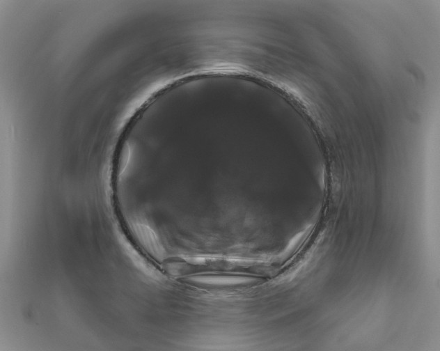 X0000111891422200908131645