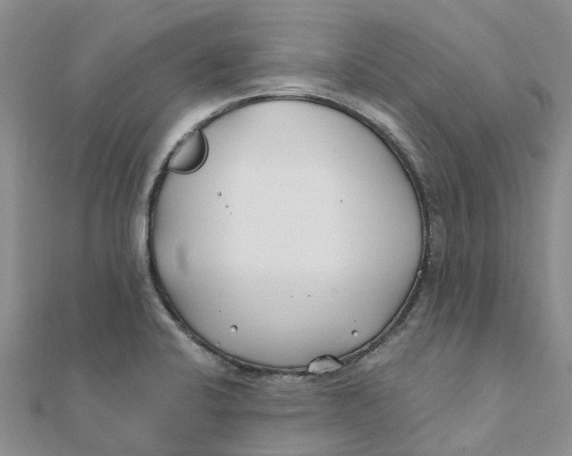 X0000111891424200908131645