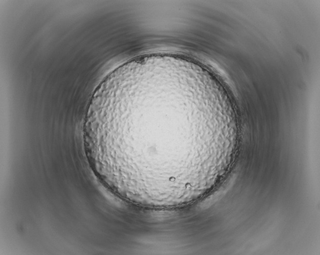 X0000111891425200908131645