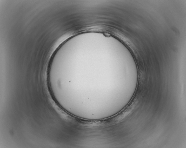 X0000111891426200908131645