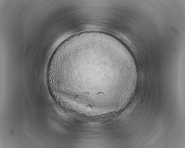 X0000111891427200908131645