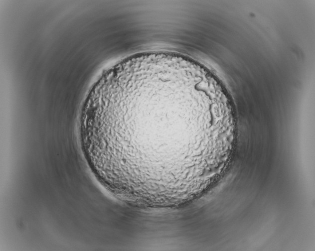 X0000111891429200908131645