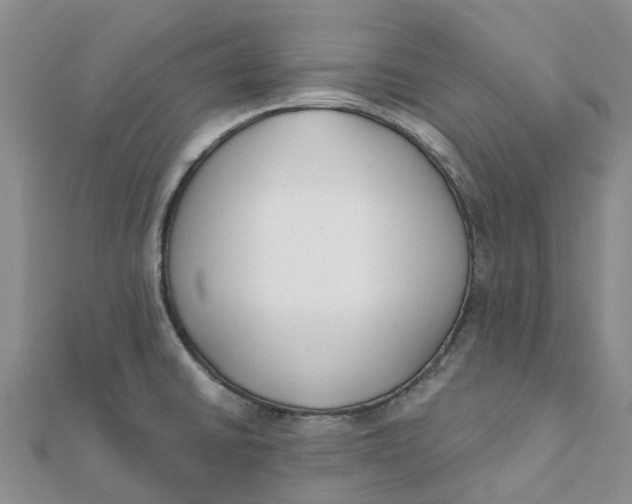 X0000111891430200908131645