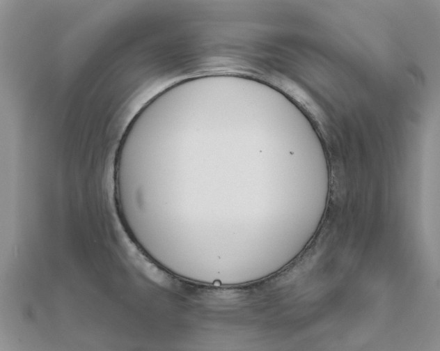 X0000111891431200908131645