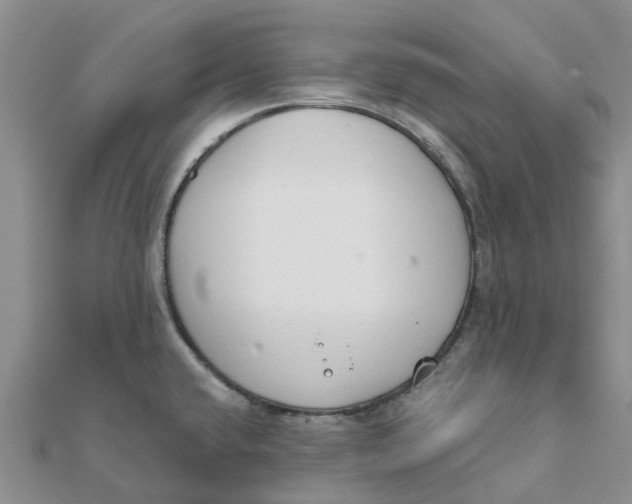 X0000111891432200908131645