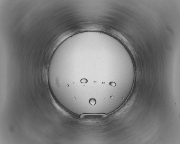 X0000111891433200908131645