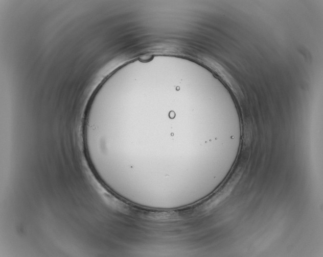 X0000111891434200908131645