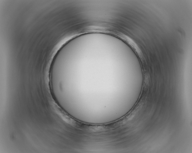 X0000111891435200908131645