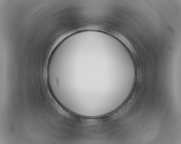 X0000111891436200908131645