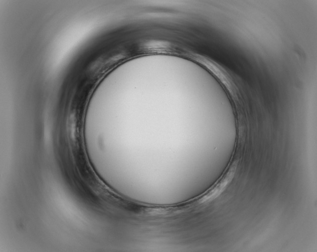 X0000111891438200908131645