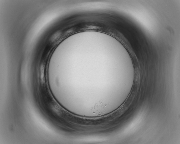 X0000111891439200908131645