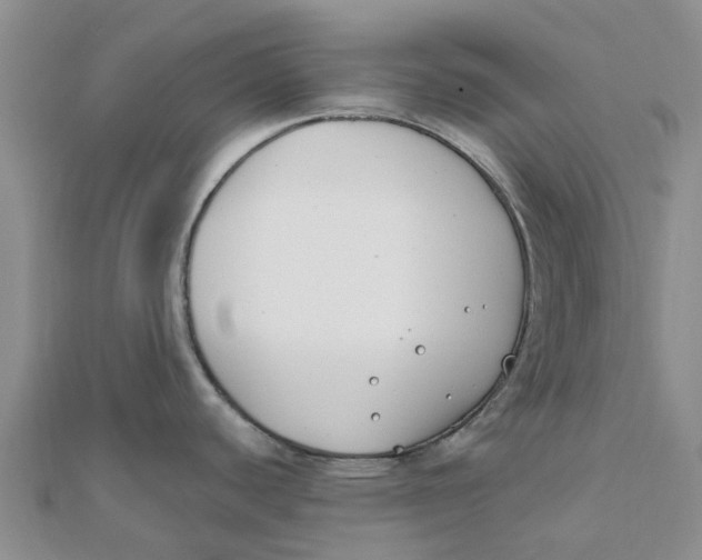 X0000111891440200908131645