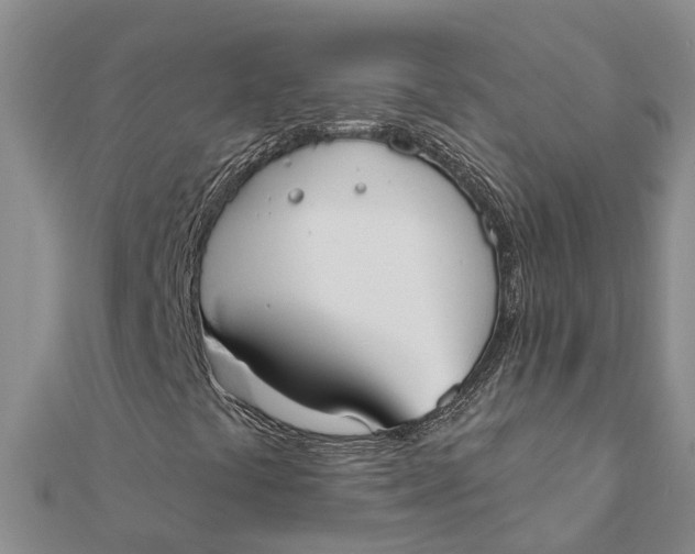 X0000111891441200908131644