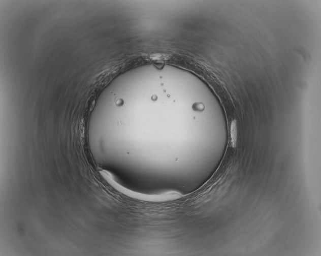 X0000111891443200908131644